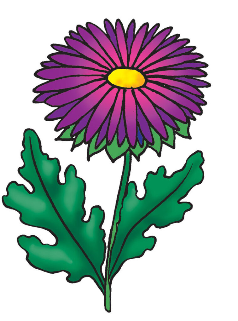 Малюнок квіточки для дітей