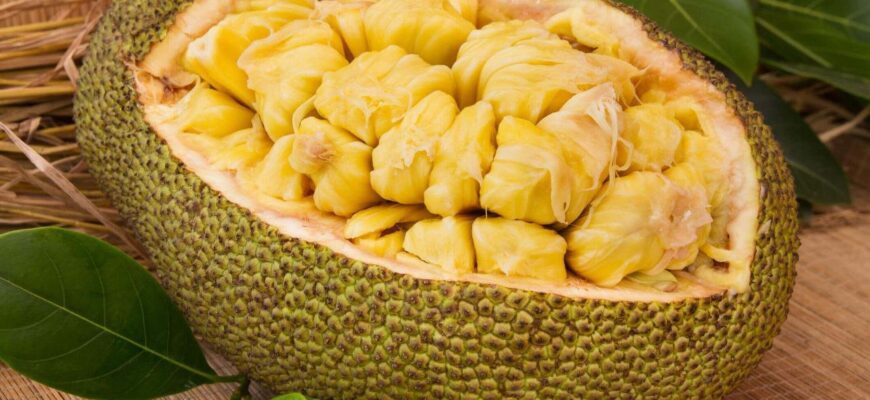 Як правильно їсти джекфрут: поради та кроки для насолоди фруктом