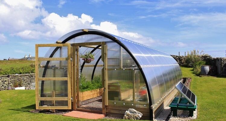 Скільки градусів морозу може витримати теплиця з полікарбонату?