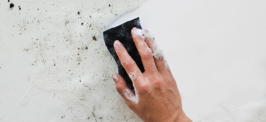 Ефективні методи, як вивести цвіль зі стін назавжди: покрокова інструкція