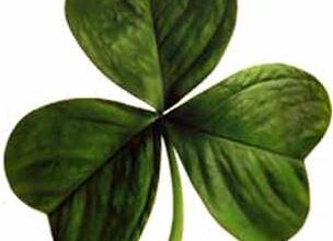 Що таке листок на удачу: його назва та символічне значення