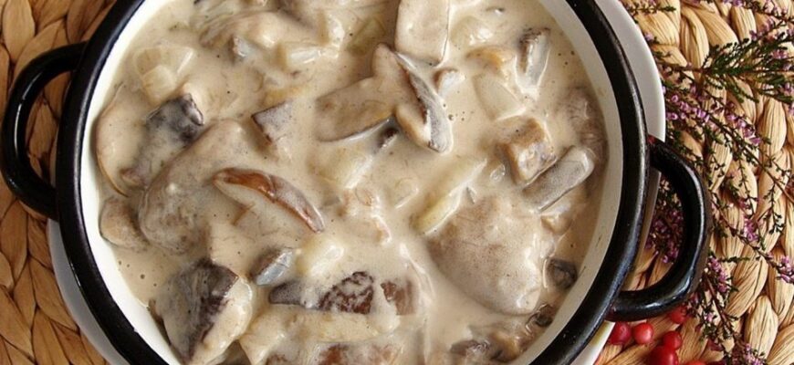 Як готувати білі гриби: секрети смачних грибних страв вдома