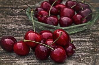 Оптимальні добрива для швидкого росту черешні: поради та рекомендації