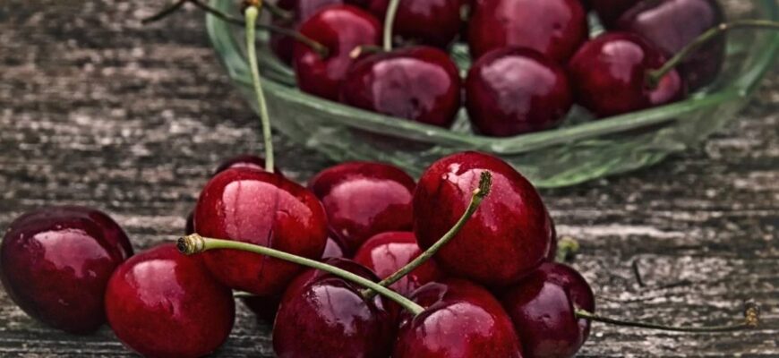 Оптимальні добрива для швидкого росту черешні: поради та рекомендації