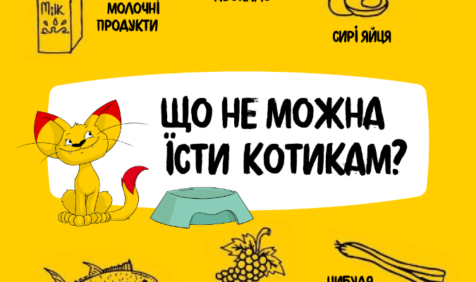 Загроза спецій для кішок: важливі причини уникати прянощів