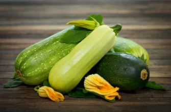 Розкриття секрету: Як правильно називаються маленькі кабачки?