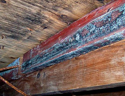 Як ефективно позбутися грибка в підвалі вашого приватного будинку