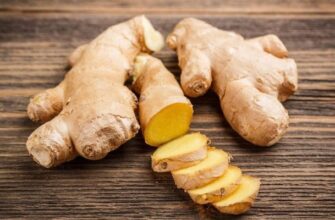 У якому кліматі найкраще зростає імбир: докладний гід для садівників