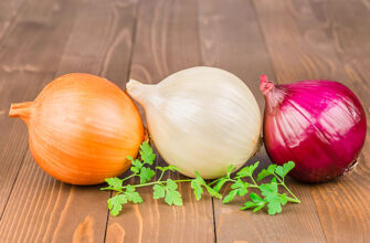 Що виросте з цибулі сіянка: повний гід з вирощування та догляду