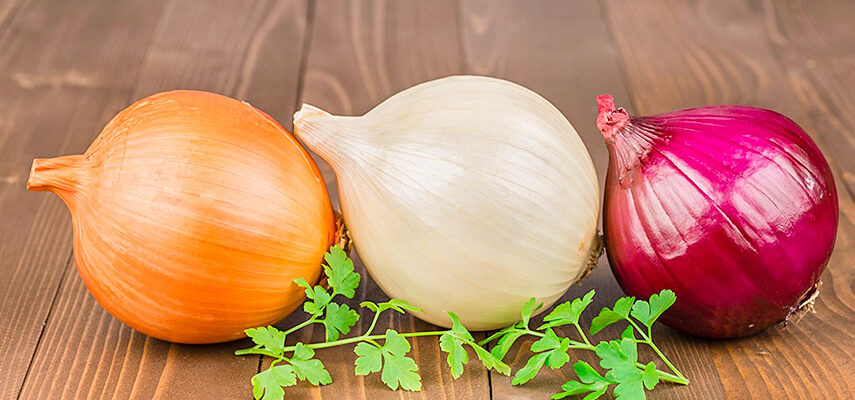 Оптимальний час для посіву насіння цибулі ріпчастої: коли садити?