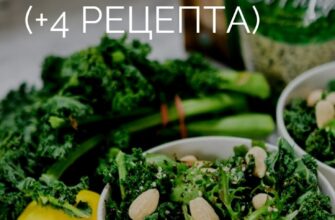 Готуємо капусту кале: прості рецепти та поради для кожного дня