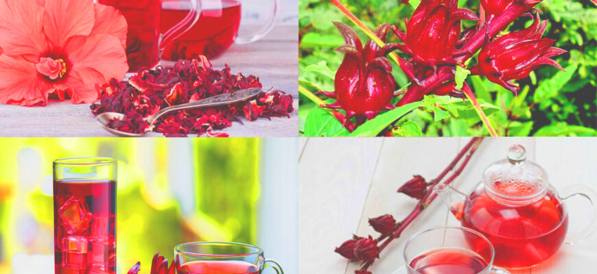 Корисні властивості чаю із суданської троянди: здоров’я та самопочуття