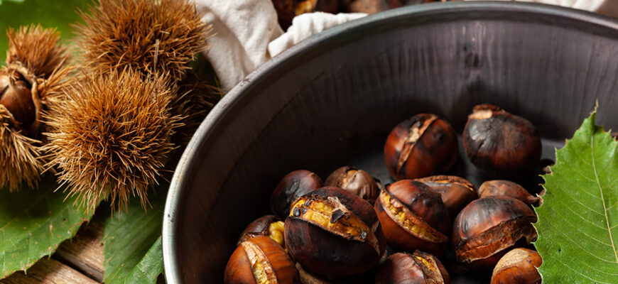 Як розпізнати їстівний каштан: корисні поради та прості методи