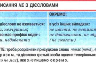 Як пишуться слова з не: правила та приклади для кожного випадку