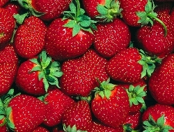 Найкращий сорт полуниці для Сибіру: топ варіантів для суворого клімату