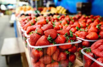 Оптимальний місяць для купівлі свіжої полуниці: корисні поради для вас