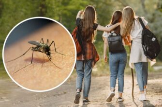 Скільки разів за ніч комар здатен вкусити одну людину: дослідження.