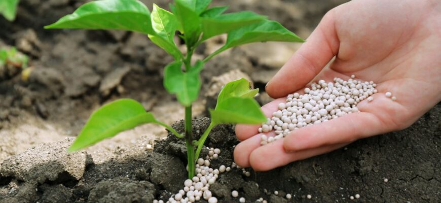 Небезпека використання мінеральних добрив без органічних компонентів