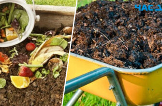 Як ефективно пришвидшити процес дозрівання компосту: поради та методи