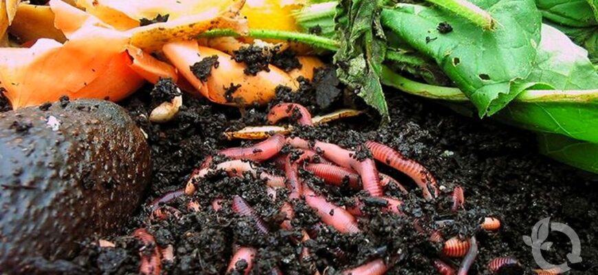 Оптимальні терміни перегнивання компосту: скільки потрібно часу?