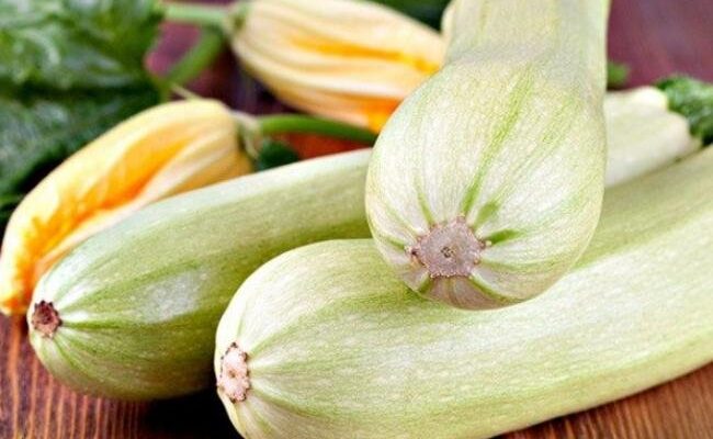 Кому не можна їсти кабачки: поради і застереження для здоров’я