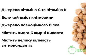 Скільки разів на тиждень безпечно їсти нут: поради дієтологів