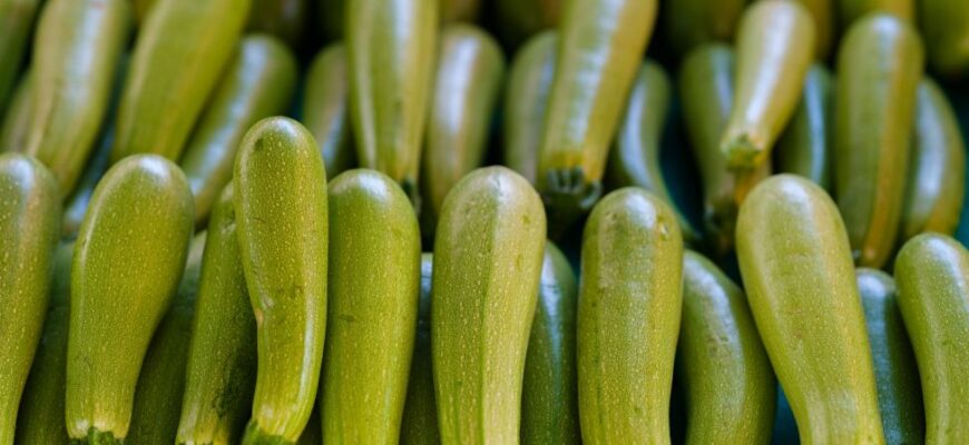 Щоденне вживання цукіні: користь та можливі ризики для здоров’я