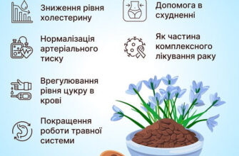 Чи безпечно вживати насіння льону: користь, ризики та рекомендації