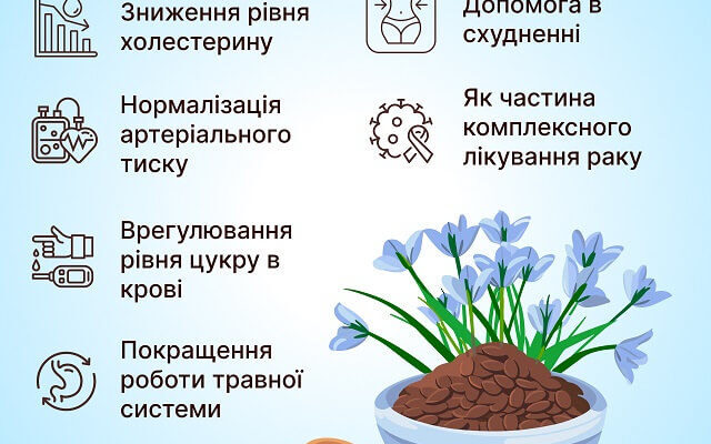 Чи безпечно вживати насіння льону: користь, ризики та рекомендації