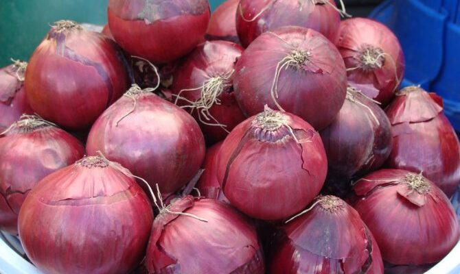 Як зробити червону цибулю не гіркою: поради та методи зменшення гіркоти