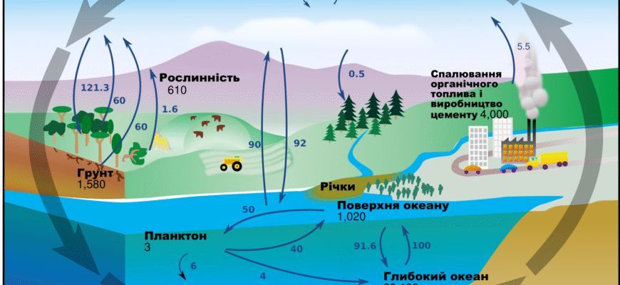 Де і як відбувається утворення вуглекислого газу в природі та промисловості