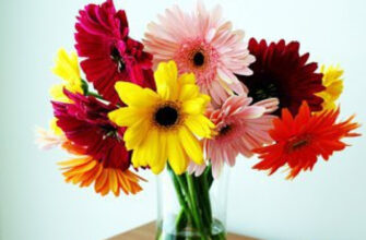 Секрети повторного використання квітів: як дати їм друге життя