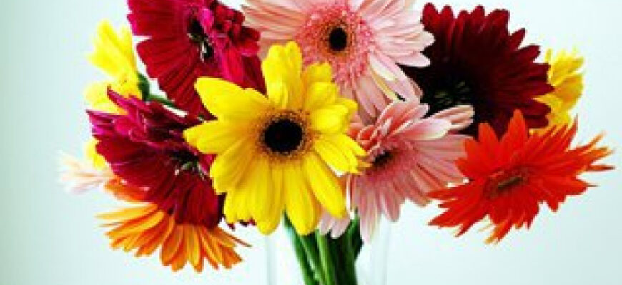 Секрети повторного використання квітів: як дати їм друге життя