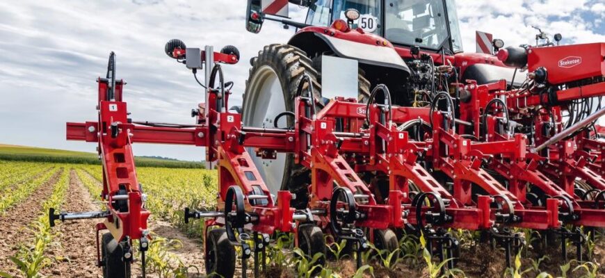 Оптимальний час для культивації городу навесні: поради та рекомендації