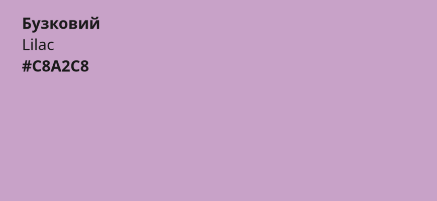 Що символізує ніжно бузковий колір: значення та психологія відтінку