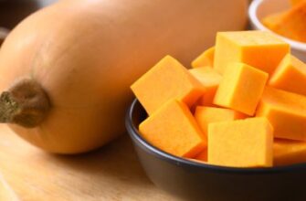 Чим відрізняється Мускатний гарбуз: основні характеристики та особливості