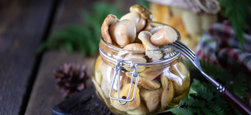 Скільки потрібно солі на 1 літр грибів: точні пропорції і поради