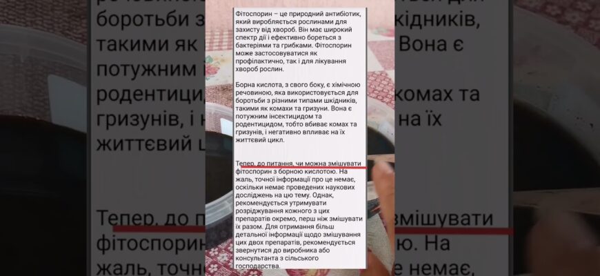 Що заборонено змішувати з бурштиновою кислотою: поради та застереження