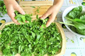 Як оптимально сушити листя подорожника: покроковий гайд для початківців