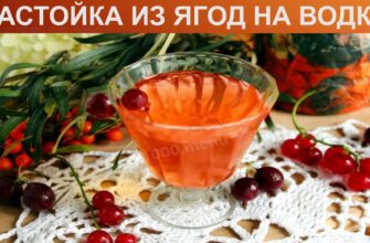 Як самостійно приготувати спиртову настоянку з ягід: покрокова інструкція