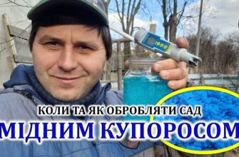 Ефективні методи поливу мідним купоросом: поради та інструкції