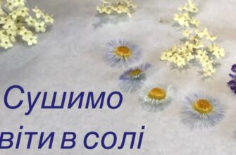 Можна сушити квіти в солі: методи та поради для збереження краси