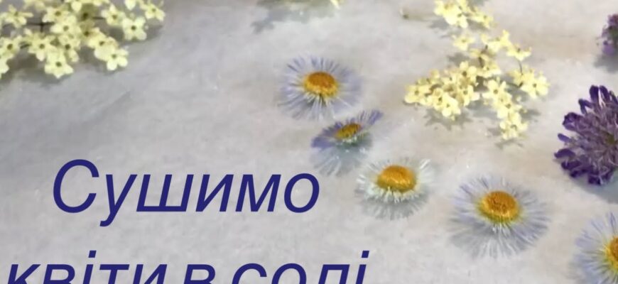 Можна сушити квіти в солі: методи та поради для збереження краси