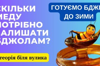 Скільки меду залишати бджолам узимку: поради для пасічників