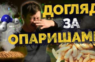 Ефективні методи зберігання опариша для успішної риболовлі