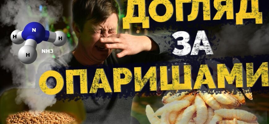 Ефективні методи зберігання опариша для успішної риболовлі