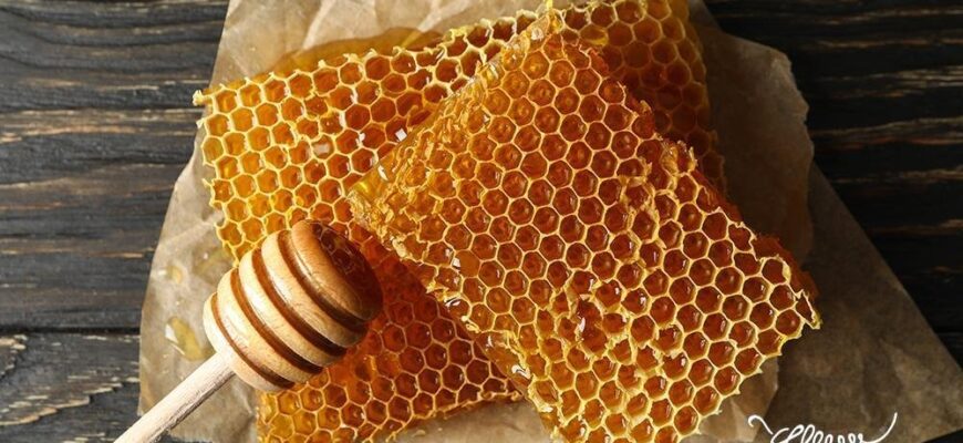 Чи можна їсти соти з медом: користь та рекомендації експертів