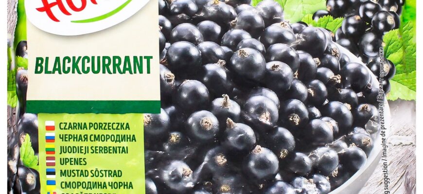 Коли збирати чорну смородину: оптимальний час для врожаю в Україні