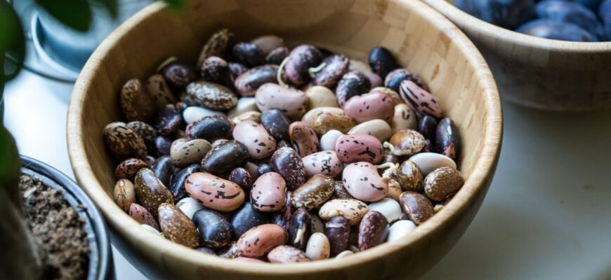 Квасоля: Незамінне джерело здоров’я та краси для жінок