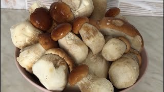 Як правильно варити білі гриби: крок за кроком для смачної страви